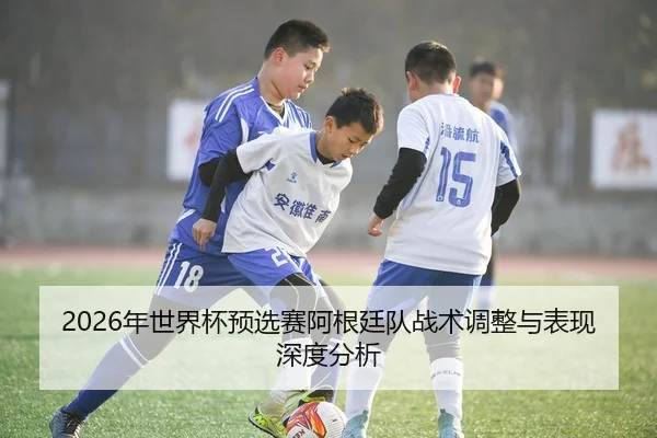 2026年世界杯预选赛阿根廷队战术调整与表现深度分析