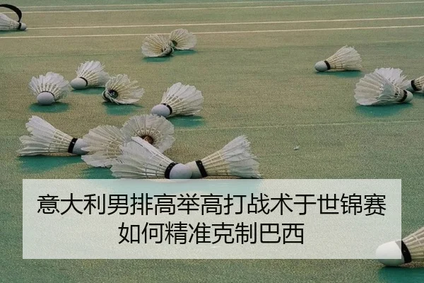 yi-da-li-nan-pai-gao-ju-gao-da-zhan-shu-yu-shi-jin-sai-ru-he-jing-zhun-ke-zhi-ba-xi-2-741.jpg