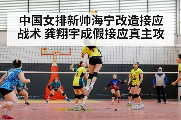 中国女排新帅海宁改造接应战术 龚翔宇成假接应真主攻
